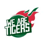 Digital Marketing Award 2017: Best Content Marketing | Glod 2