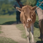 FARM FRESH TVC – FARMER