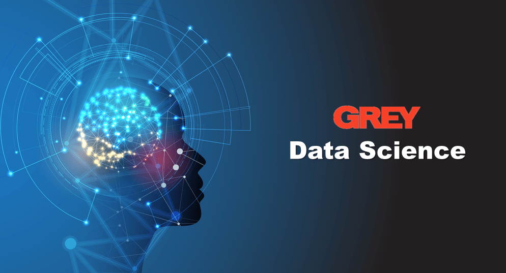 A step towards the future with Grey Data Science - Markedium