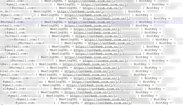 Hacked Zoom Accounts