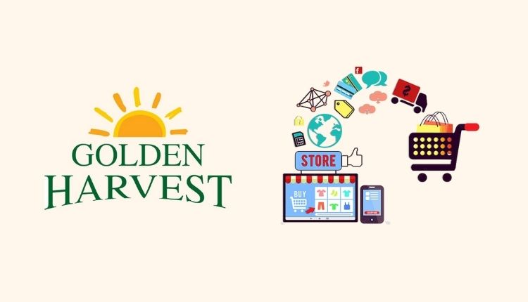 golden harvest website