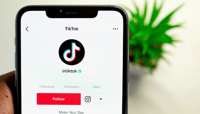 TikTok Rolled Out Quick 'Promote' Ad Option For All The Business Accounts