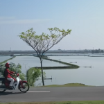 “Shopnopuron”: The legacy of success passed on from father to daughter; brought to you by Robi