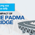 The Impact Of Padma Bridge