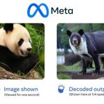 Meta Ventures into Mind-Mimicking AI for Human-Like Thinking