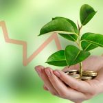 Q1'24 Sees Drop in Green Lending Amid Liquidity Crunch