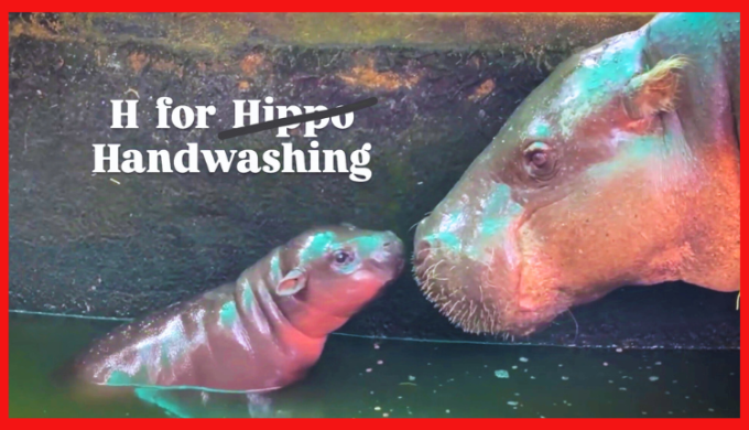 Lifebuoy And Moo Deng Transform 'H' Into A Global Symbol For Handwashing