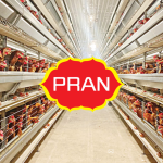 Pran to Invest Tk 600 Crore in Poultry Expansion by 2027