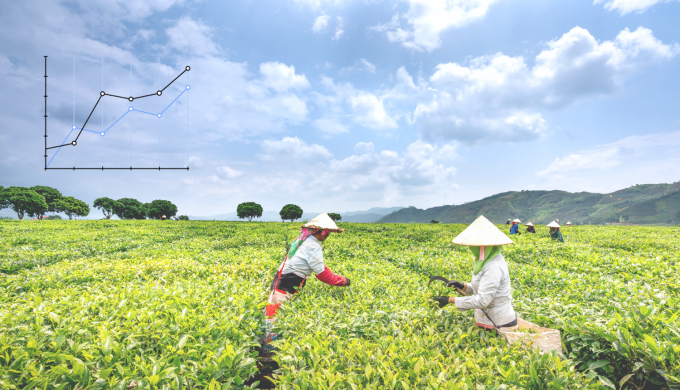 Bangladesh’s January PMI Surges