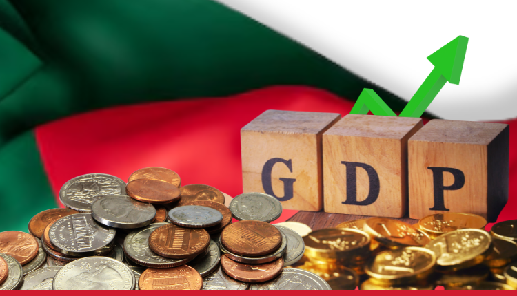 The Government Aims For 6% GDP Growth With Smaller Budget - Markedium