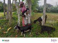 Helen Keller International and MetLife Foundation jointly launched a program to help 500 families fight poverty