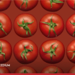 heinz china national game tomato athletes