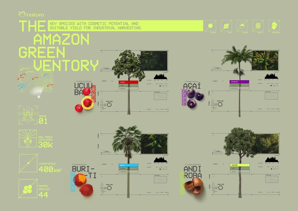 Natura Proved a Standing Tree Is Worth More Than a Fallen One 55 image 4